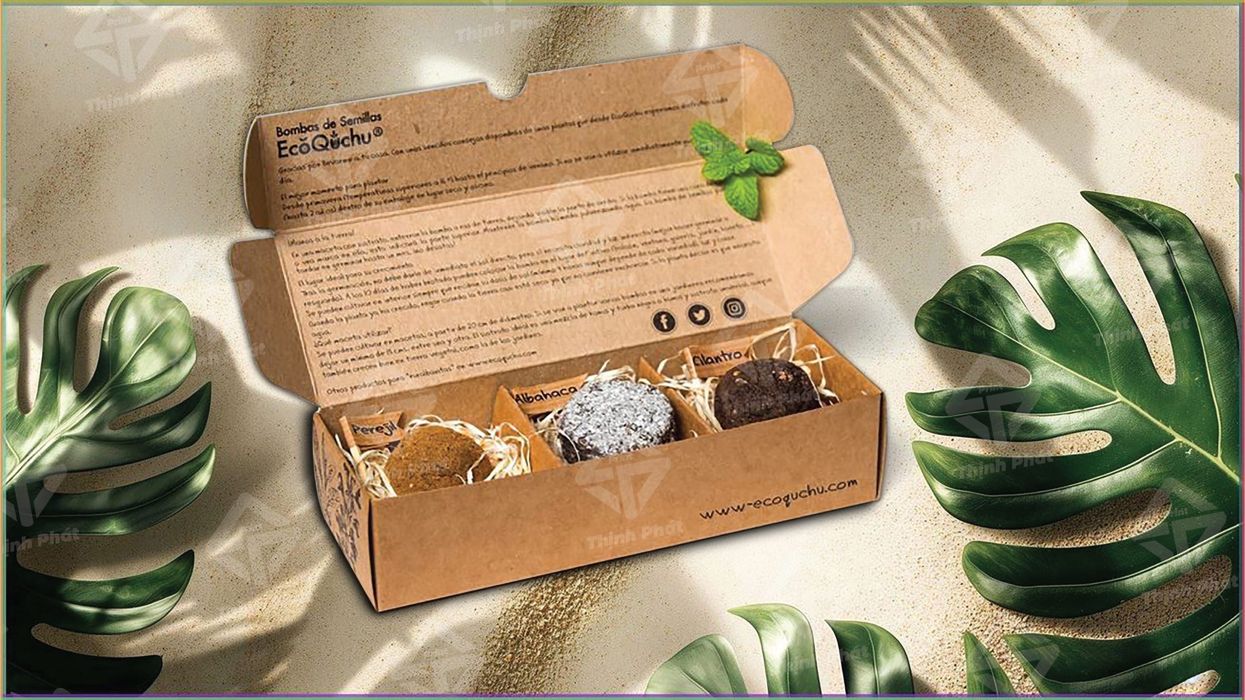 Thiết kế hộp mềm đẹp và chuyên nghiệp