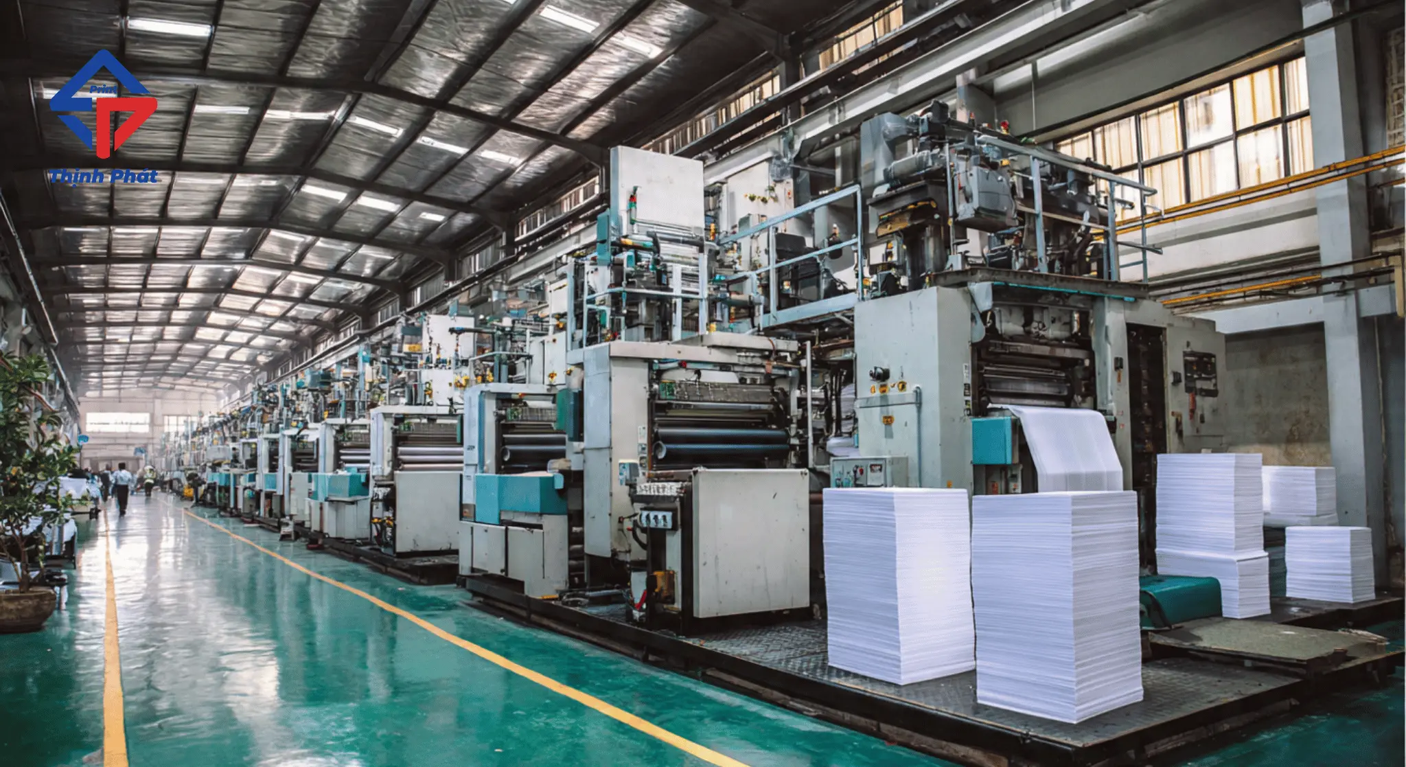 5 Lý Do Tại Sao Doanh Nghiệp Nên Chọn Túi Giấy In Offset